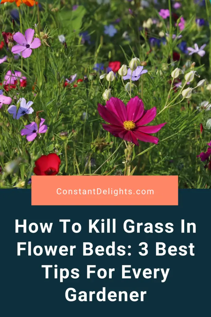 How To Kill Grass In Flower Beds: 3 Best Tips For Every Gardener