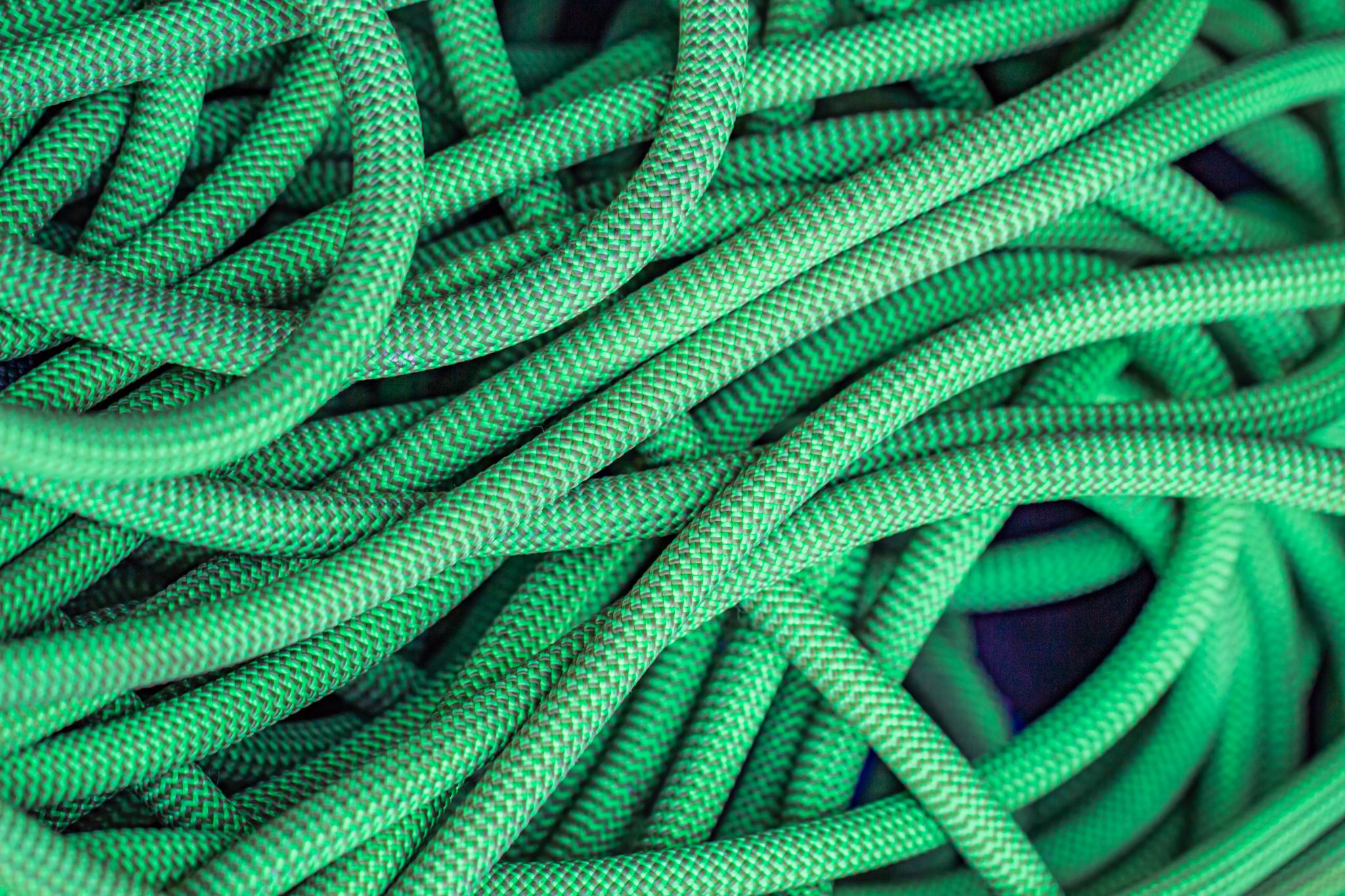 Get The Best Expandable Hose For Your Garden In 2021