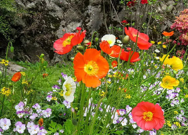How To Kill Grass In Flower Beds: 3 Best Tips For Every Gardener