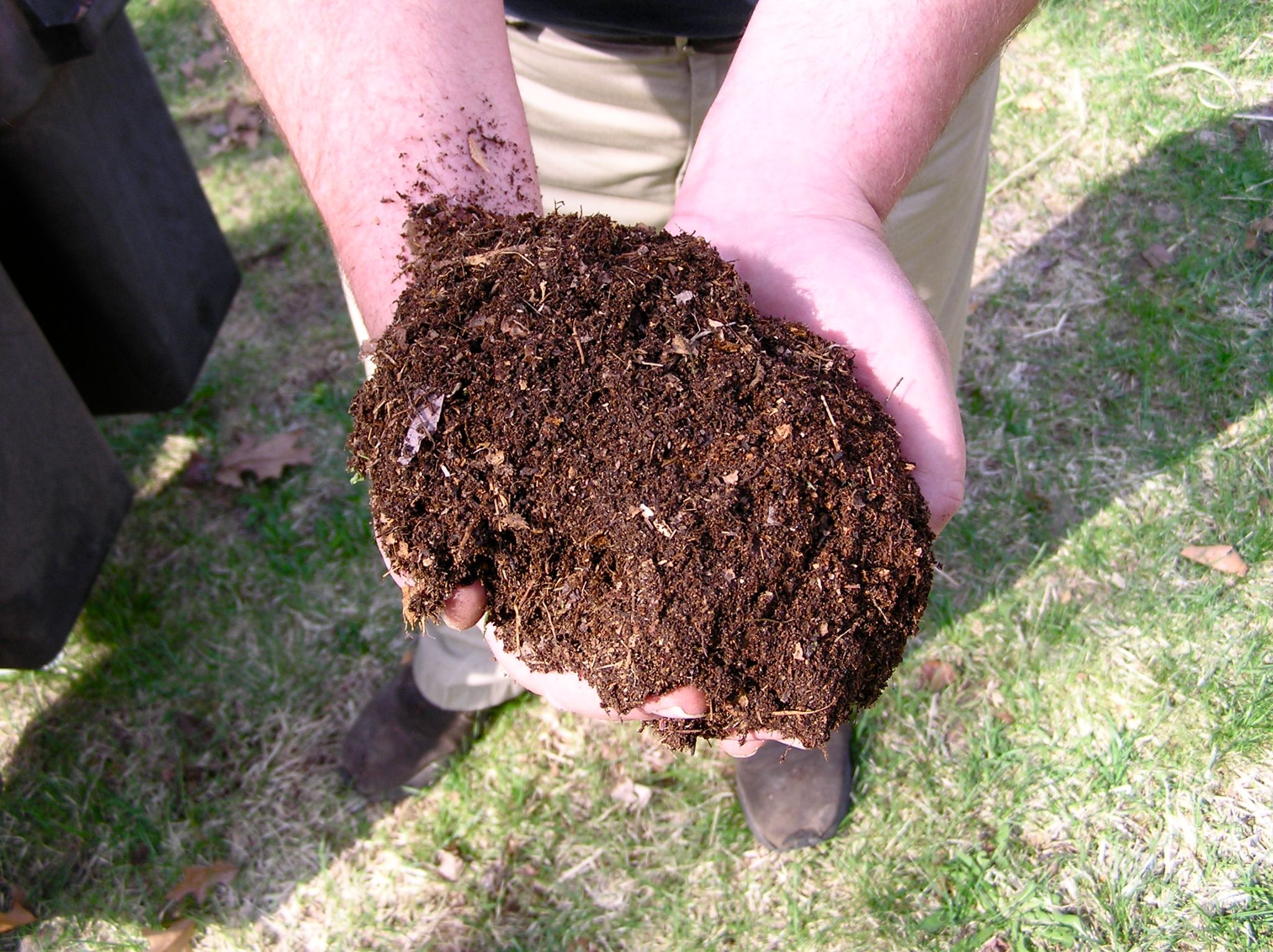 Humus Vs. Compost: Definition, Benefits, And Other Gardening Tips