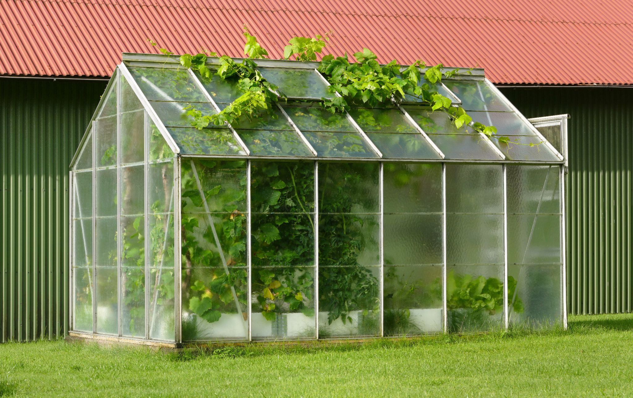 Greenhouse Flooring-How To Get The Best Greenhouse Flooring