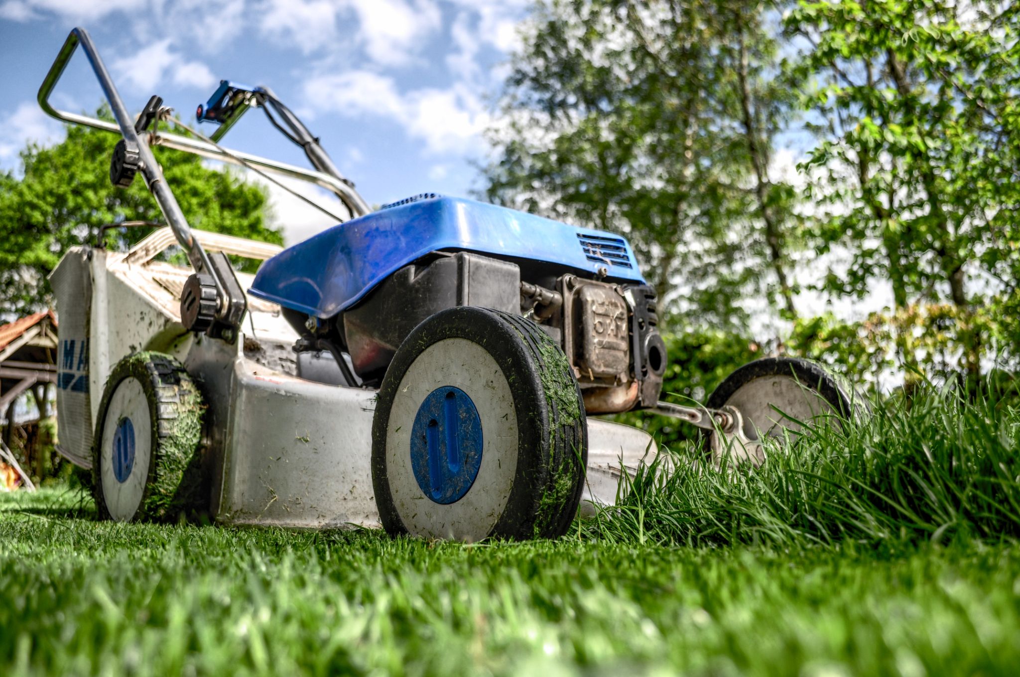 When is a Good Time to Buy a Lawn Mower?