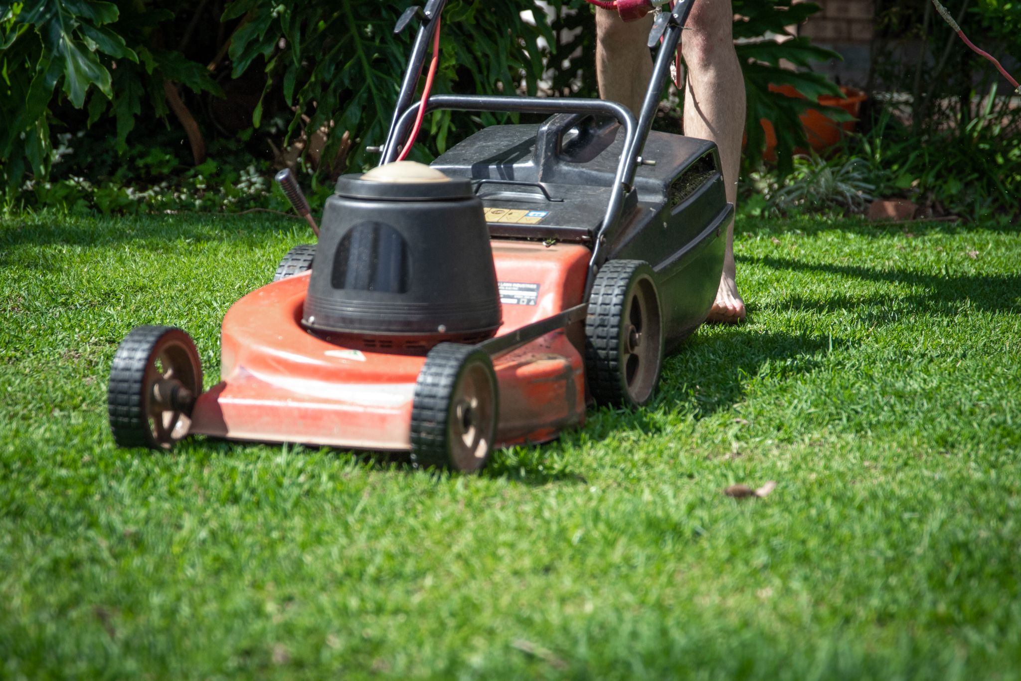 When is a Good Time to Buy a Lawn Mower?