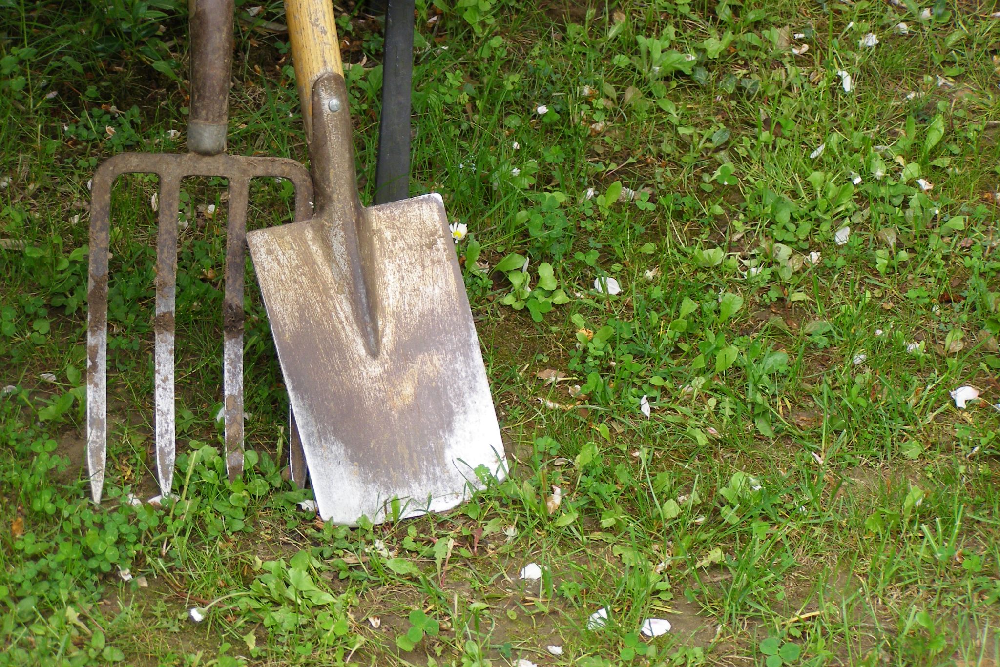 Top 7 Best Shovel For Gardeners - Buying Guide