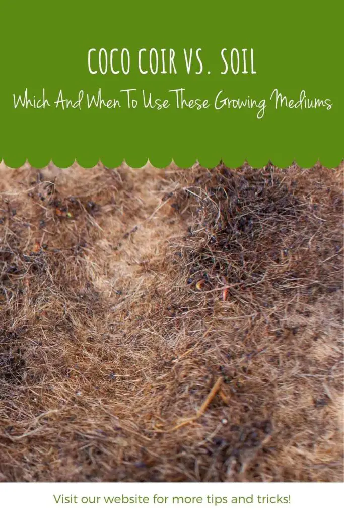 Coco Coir vs. Soil: Which And When To Use These Growing Mediums