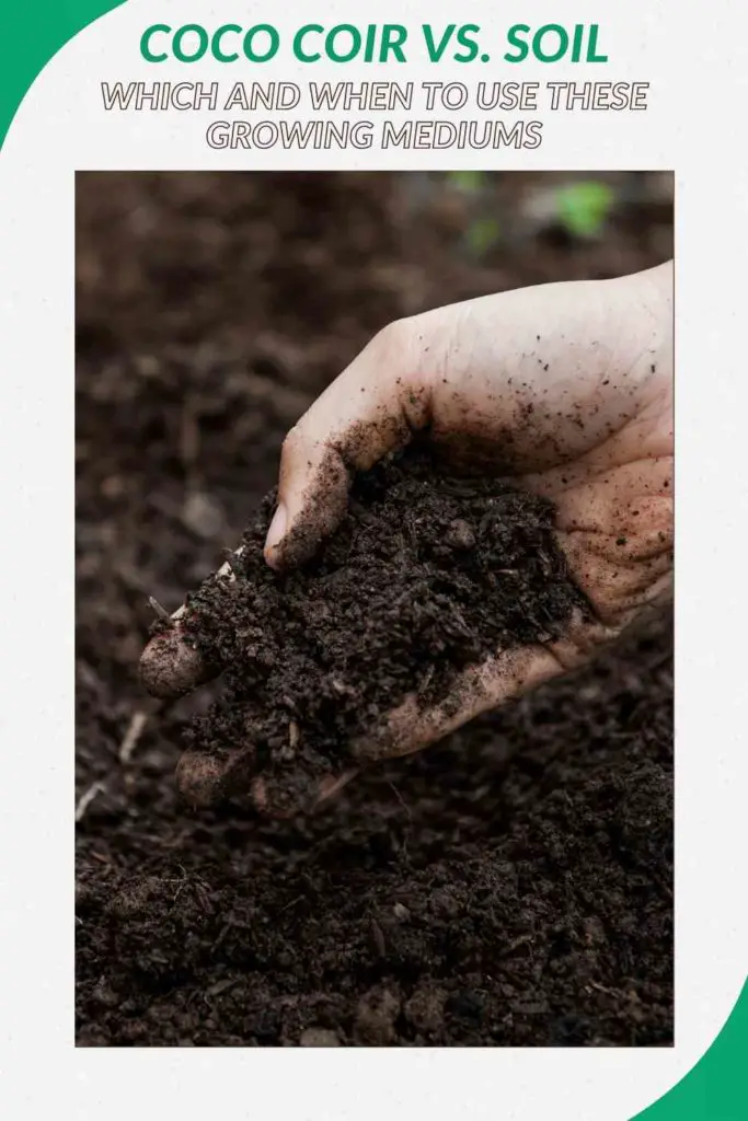 Coco Coir vs. Soil: Which And When To Use These Growing Mediums