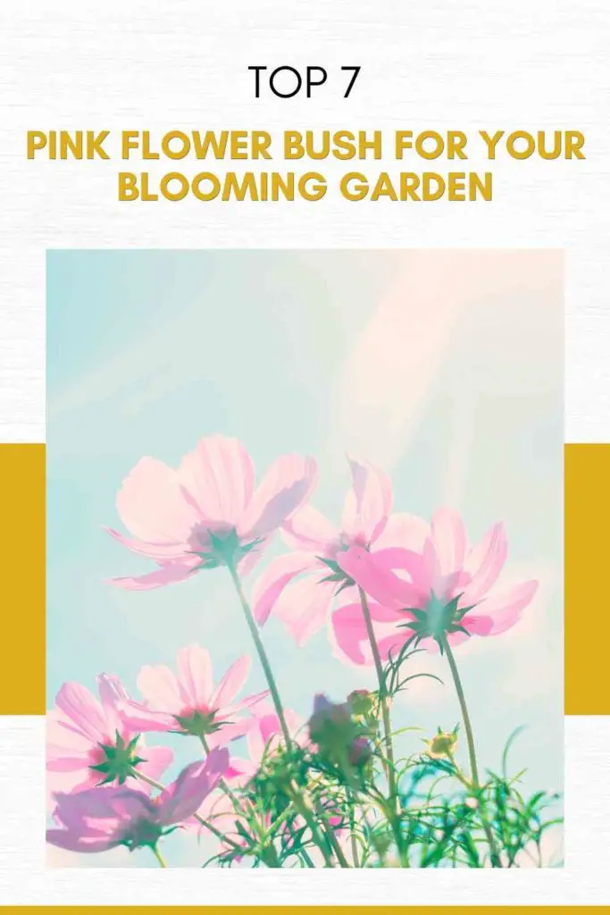 Top 7 Best Pink Flower Bush for Your Blooming Garden (Expert Recommendations)