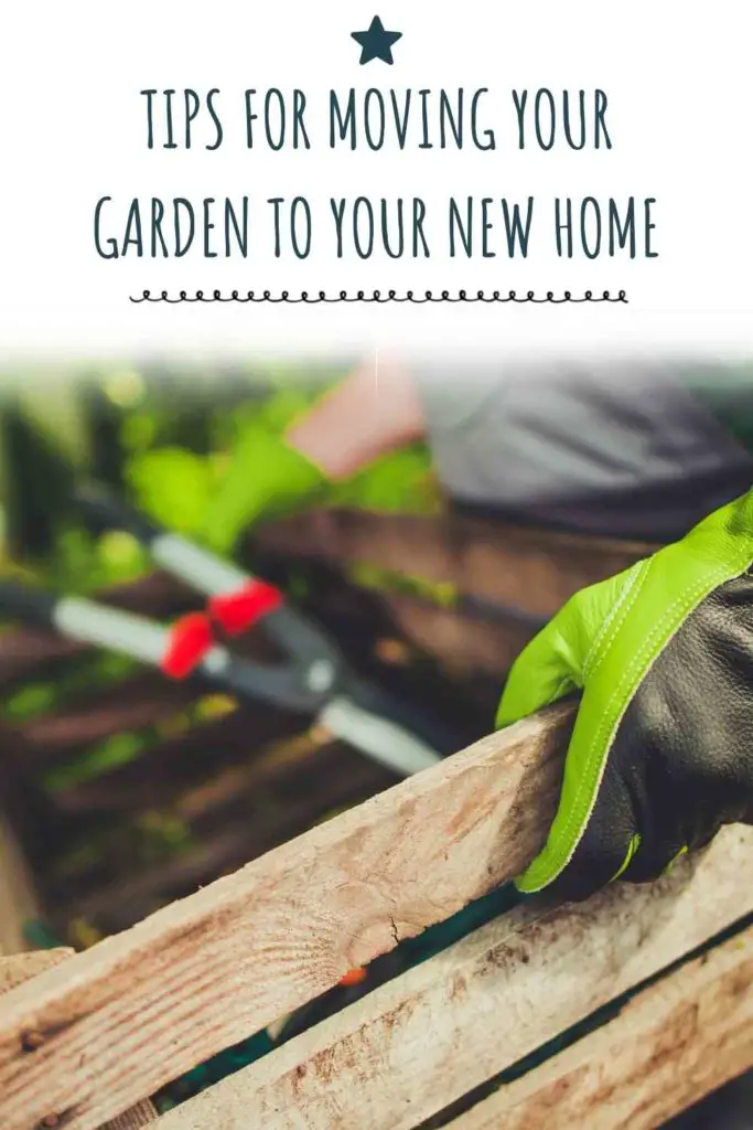 Tips For Moving Your Garden To Your New Home