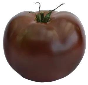 tomato black vernissage reviews