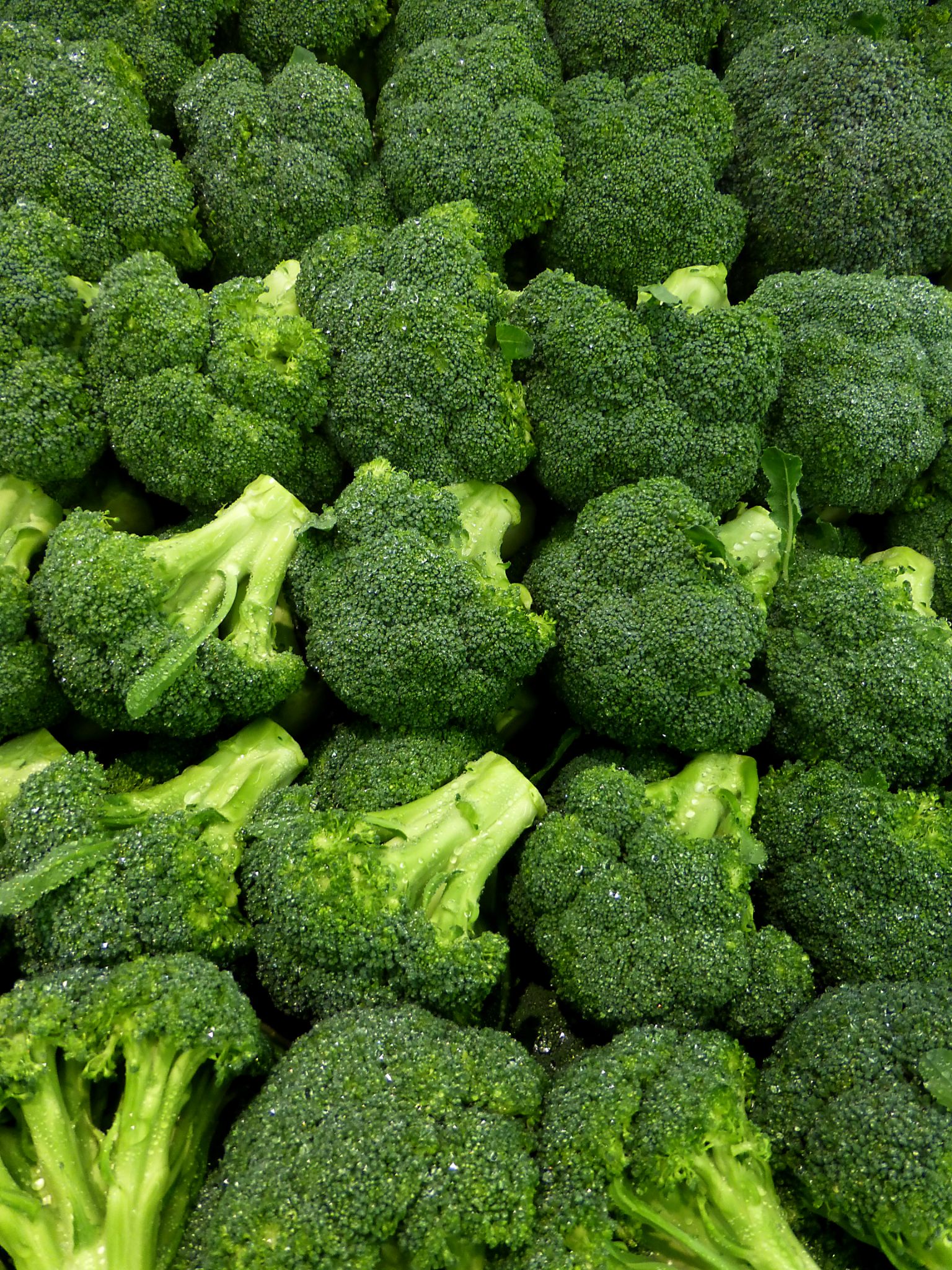 Get To Know All Types Of Broccoli In Some Minutes