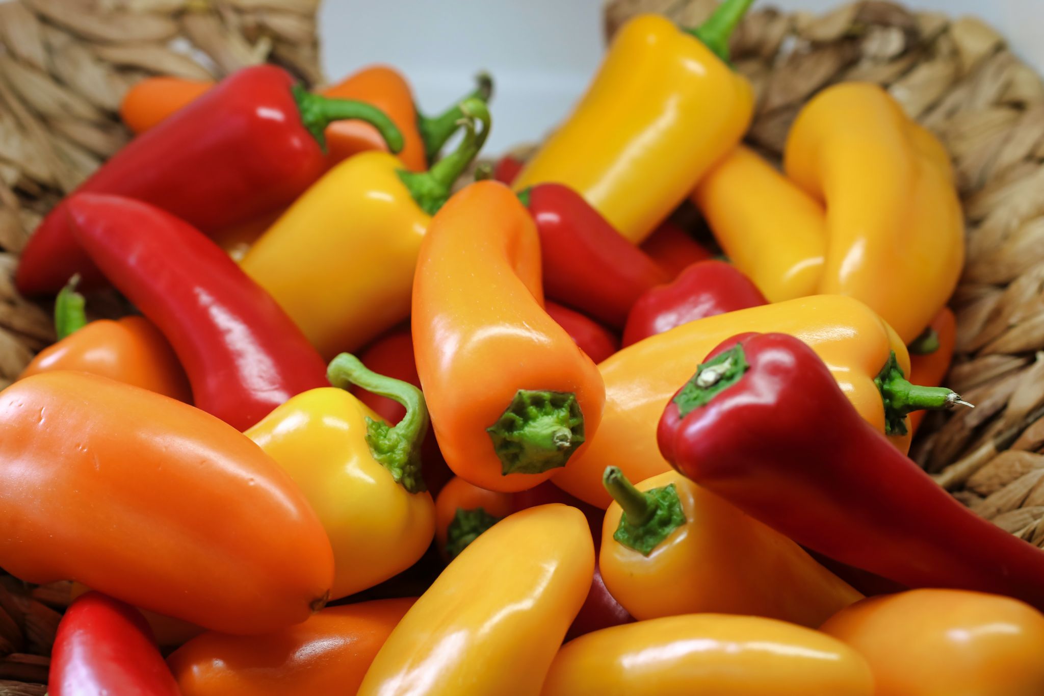 Can Rabbits Eat Bell Peppers? Pet Care Suggestions