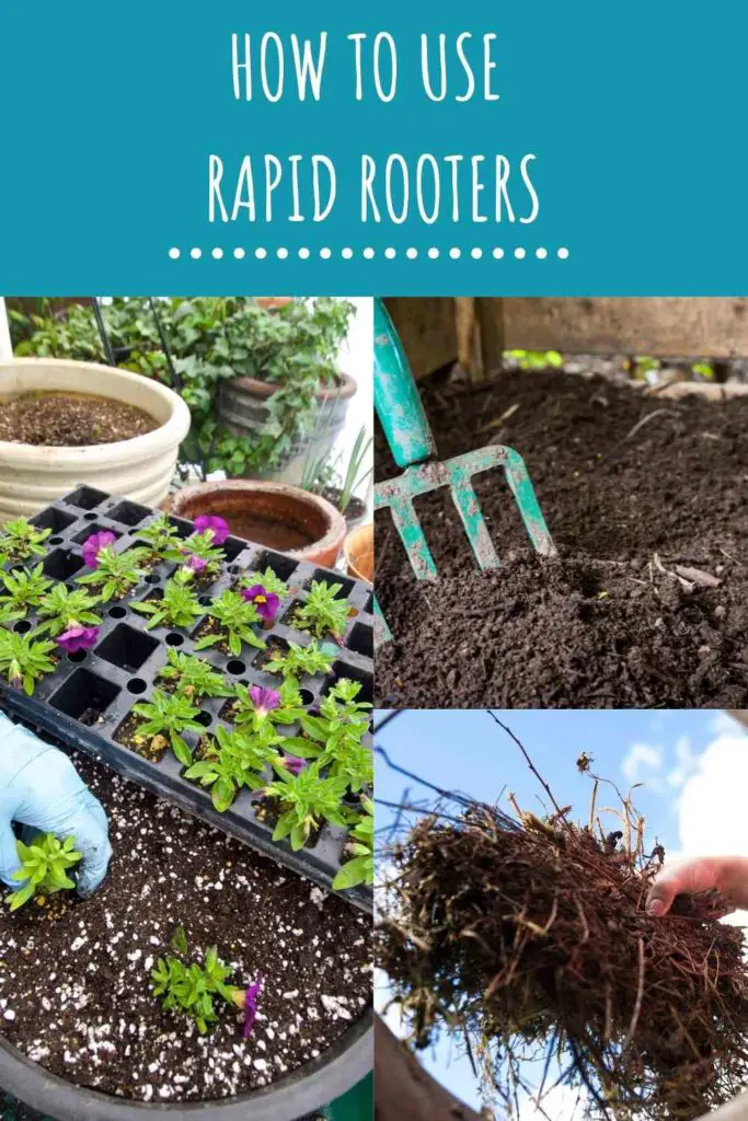 How To Use Rapid Rooters