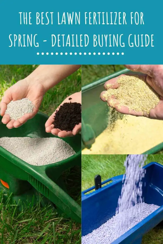 The Best Lawn Fertilizer For Spring - Detailed Buying Guide