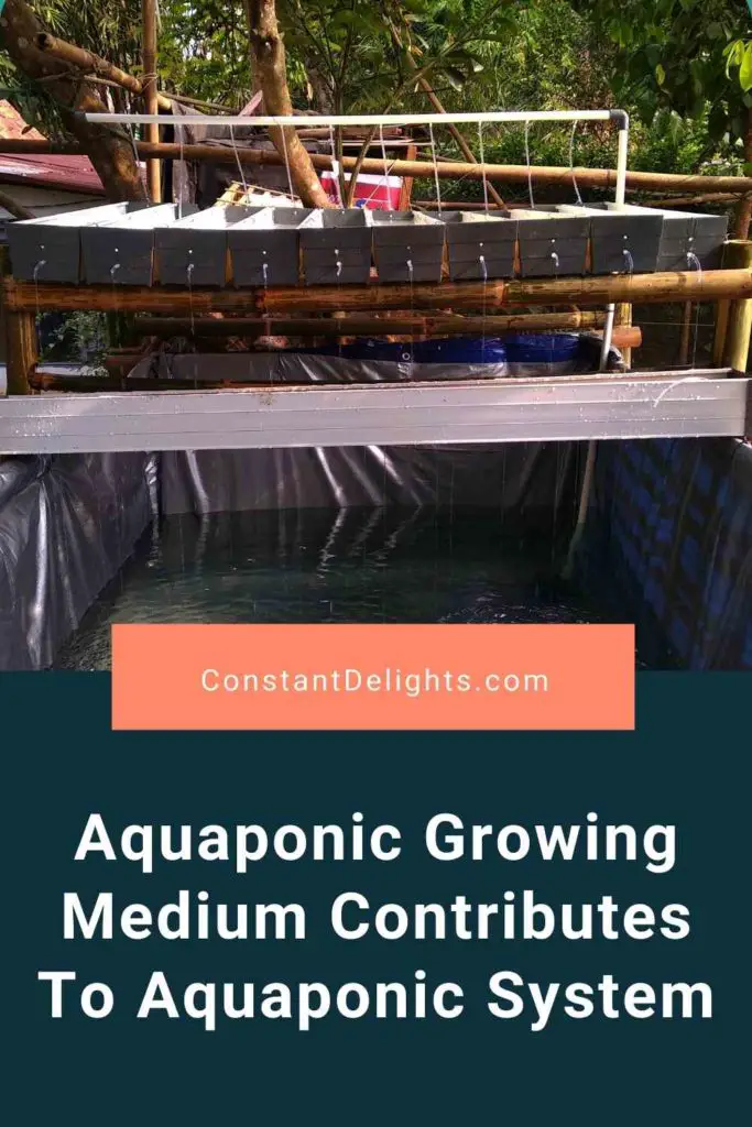 Aquaponic Growing Medium Contributes To Aquaponic System