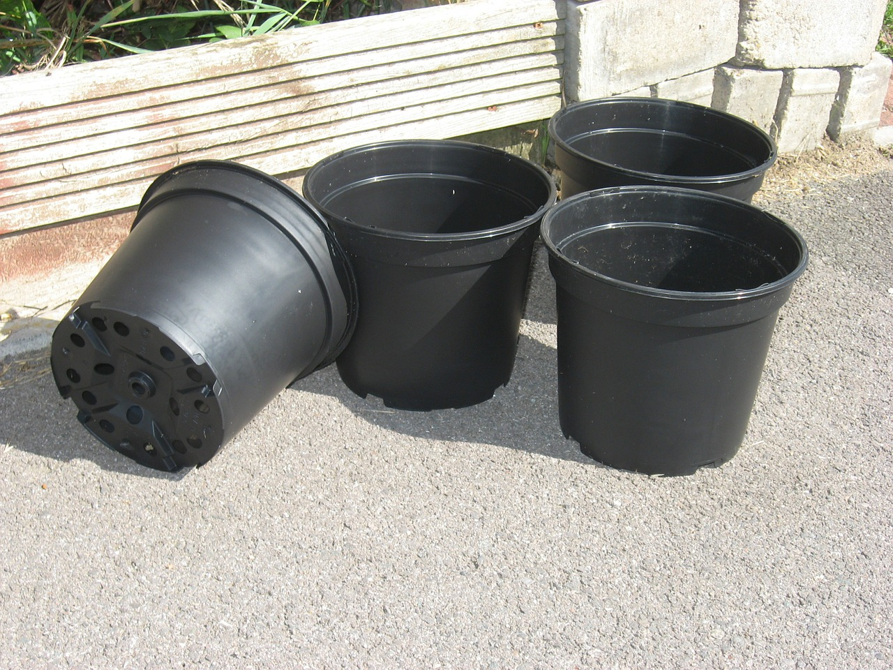 What Is A Dutch Bucket System And How To Build It?