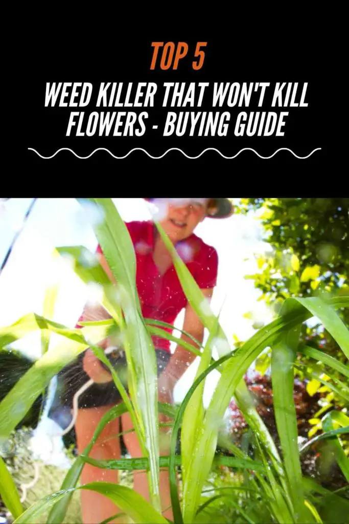 Top 5 Best Weed Killer That Won't Kill Flowers - Buying Guide