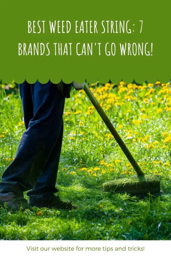 Best Weed Eater String: 7 Brands That Can't Go Wrong!