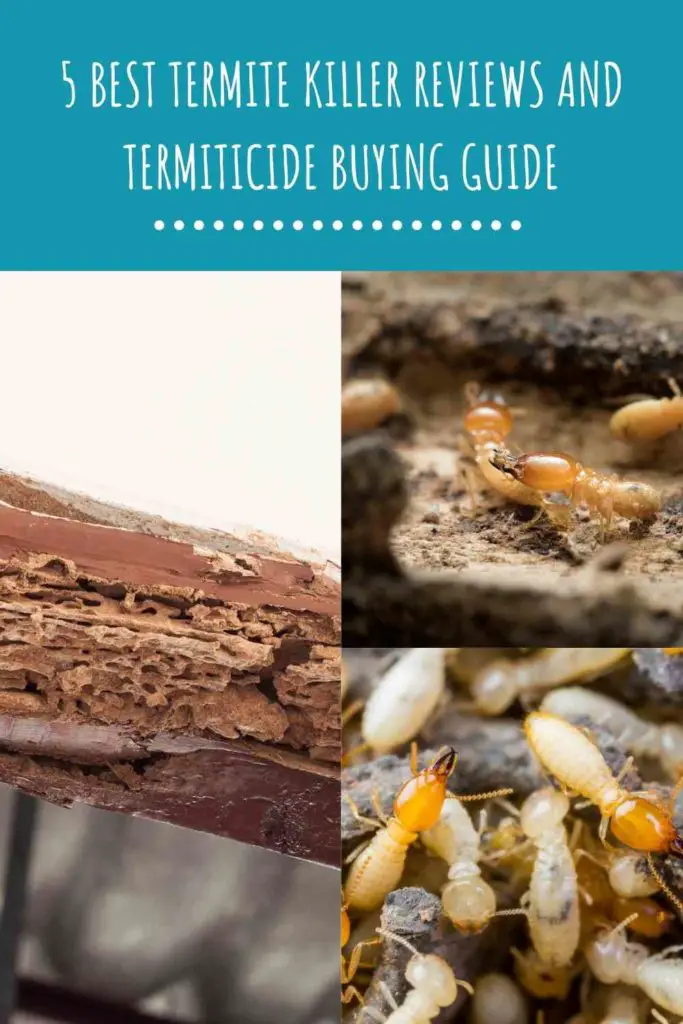 5 Best Termite Killer Reviews And Termiticide Buying Guide