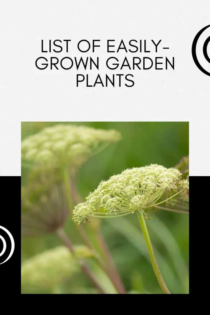 List of Easily-Grown Garden Plants