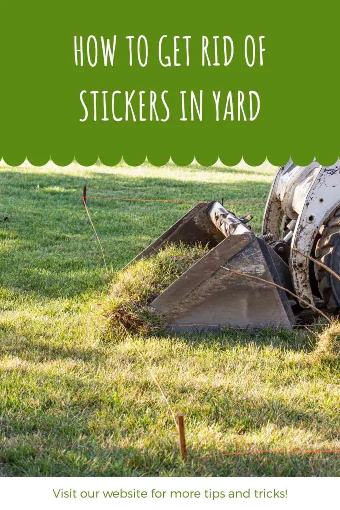 How To Get Rid Of Stickers In Yard (Instructions In Detail)