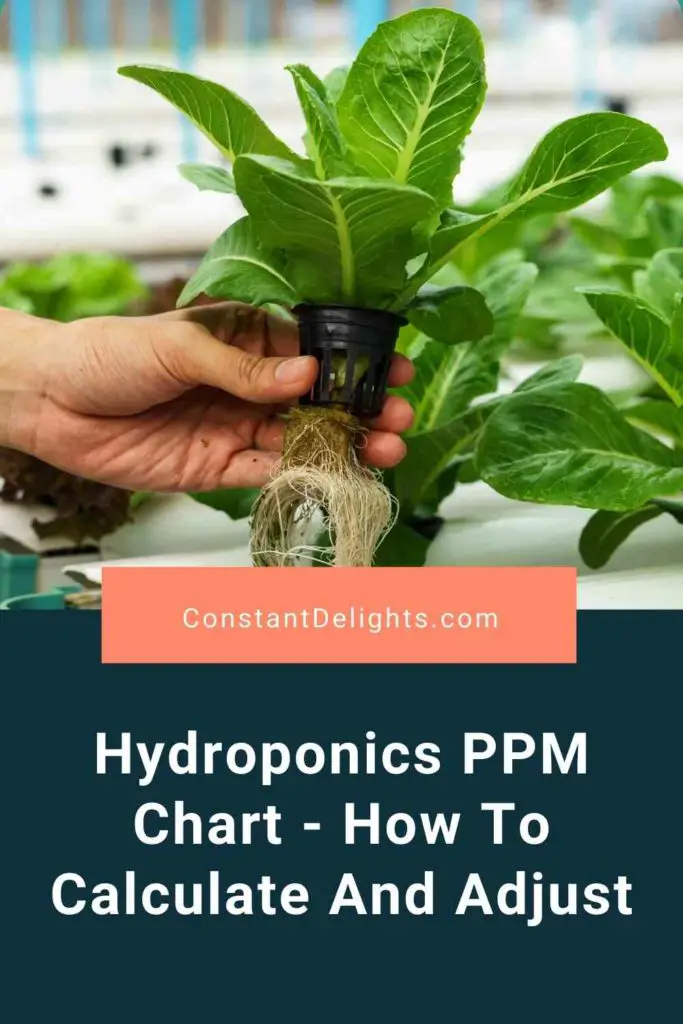 Hydroponics PPM Chart - How To Calculate And Adjust