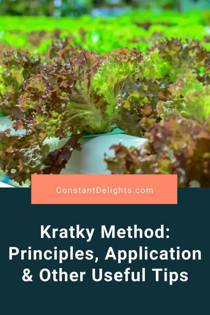 Kratky Method: Principles, Application & Other Useful Tips