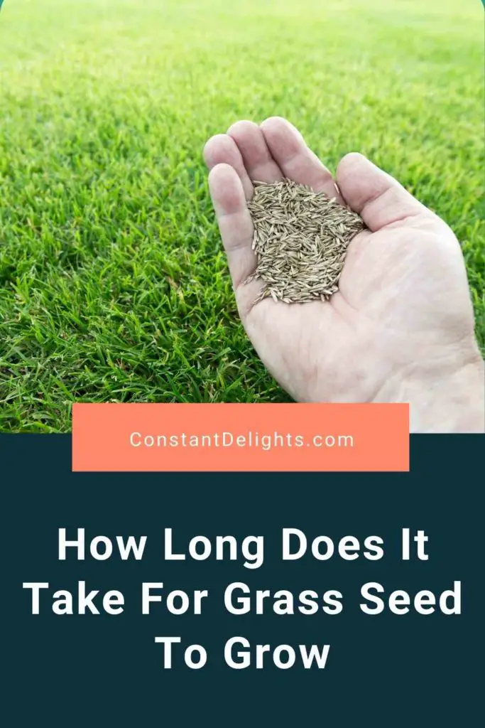 How Long Does It Take For Grass Seed To Grow