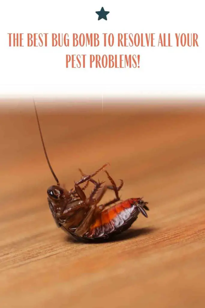 The Best Bug Bomb To Resolve All Your Pest Problems!